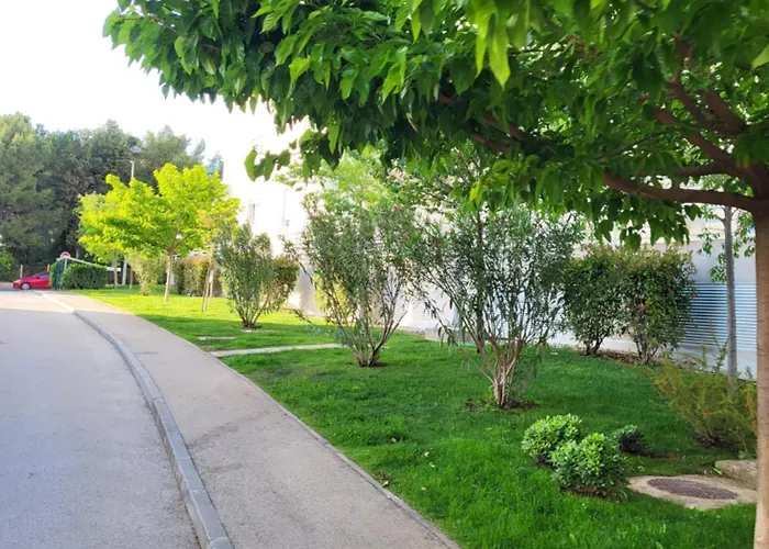 Amaros Zadar